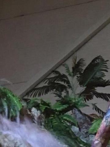 Виктория Центр Реал фото 2